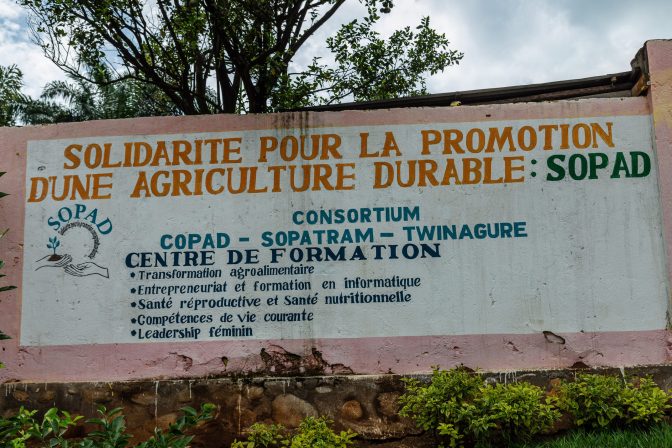 Niko Seed : Solidarité pour la Promotion d’une Agriculture Durable