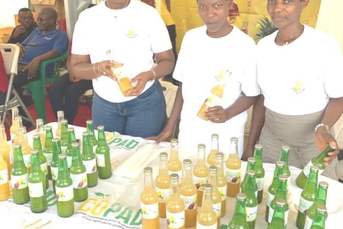 Niko Green : Une solution du manque d’emploi chez les jeunes