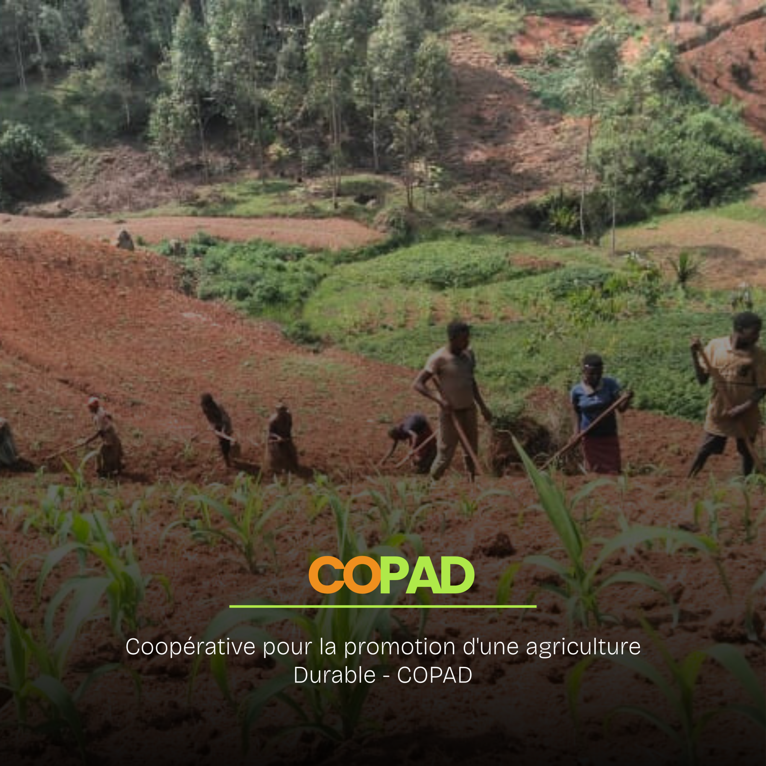 Un élan prometteur pour l’agriculture durable. Les jeunes de la COPAD bénéficient du cofinancement de PADANE