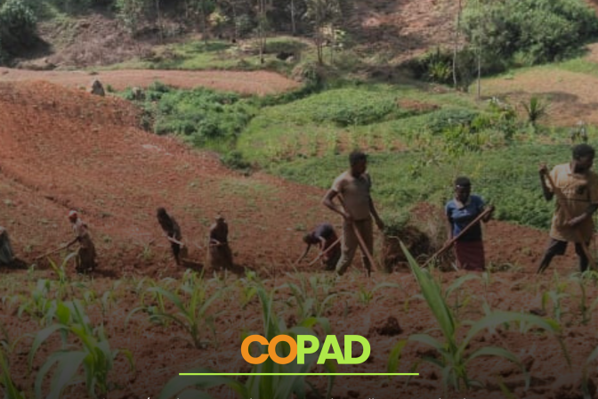 Un élan prometteur pour l’agriculture durable. Les jeunes de la COPAD bénéficient du cofinancement de PADANE