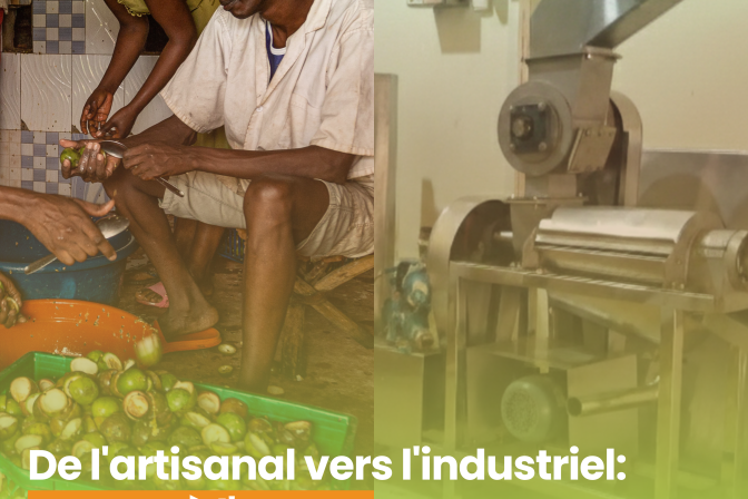 De l’artisanal vers l’industriel : un pas à l’avant