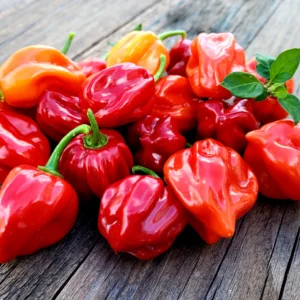 Piments