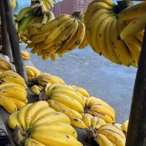 Banane