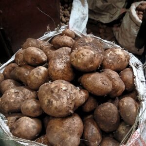Pommes de terre