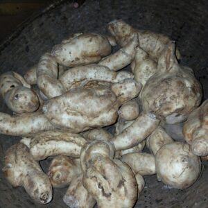 Patate douce