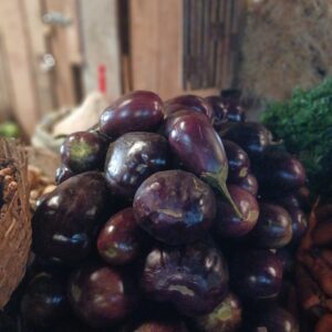 Aubergine