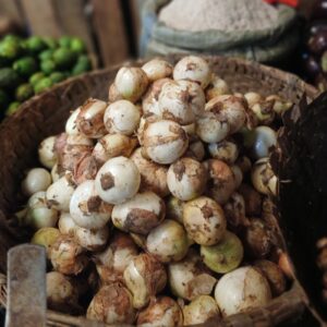 Oignons Blancs