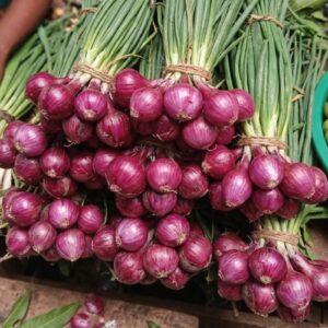 Oignons Rouges