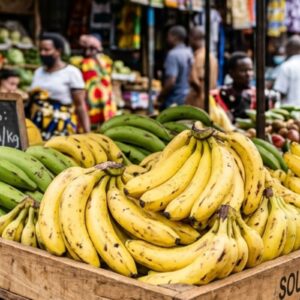 Bananes (régime)