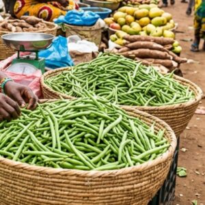 Haricot vert