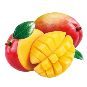 Mangue
