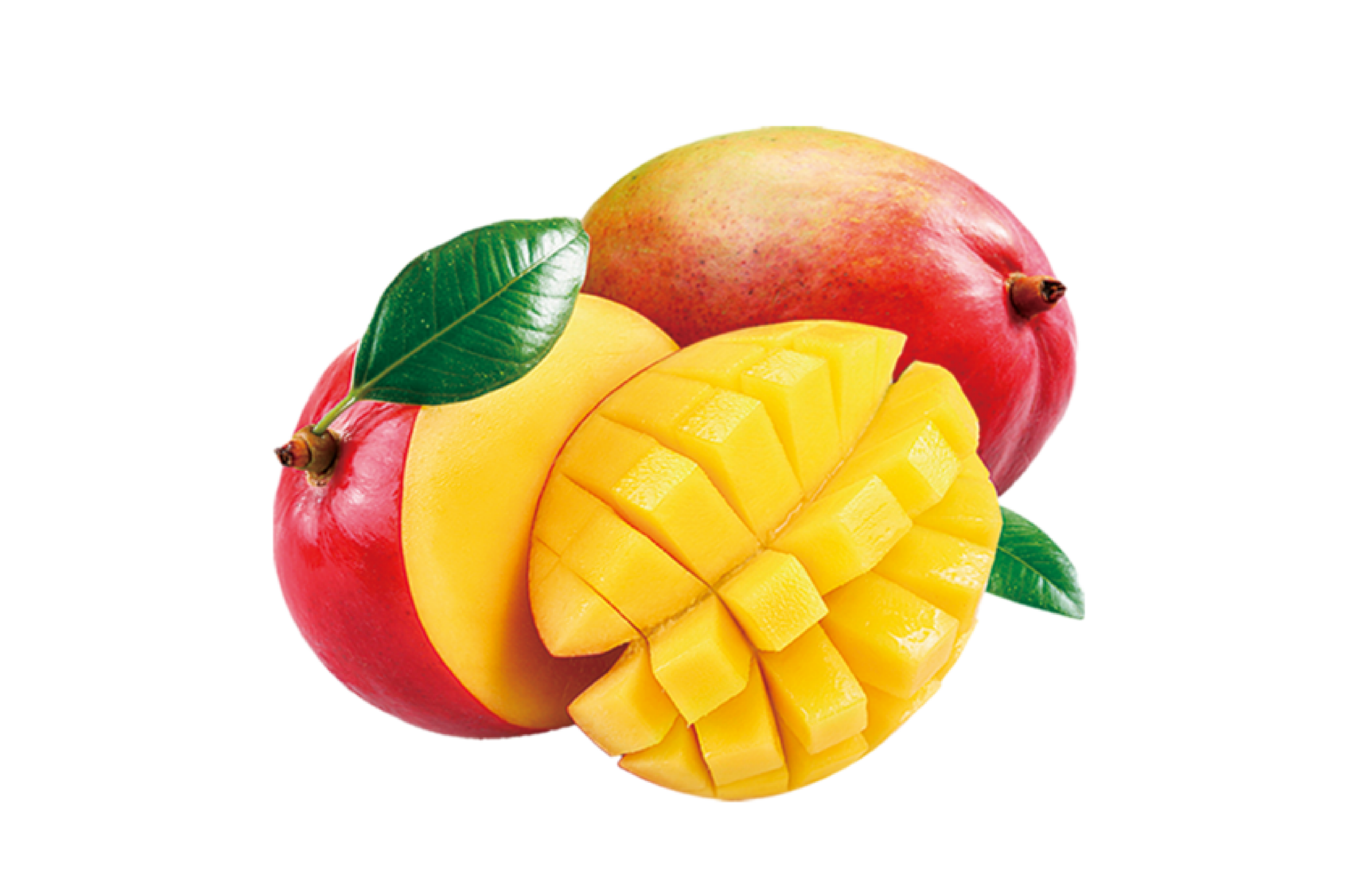 Mangue